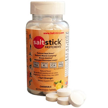 Load image into Gallery viewer, Salt Stick Fastchews (60 count)
