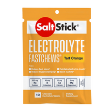 Load image into Gallery viewer, Salt Stick Fastchews 10pack